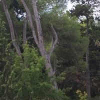 Photo de France - Le Canal du Midi et le tunnel du Malpas